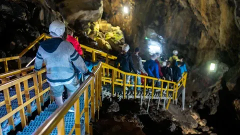 Industrial Automation: A Complete Guide to Modern Industrial Auto Systems