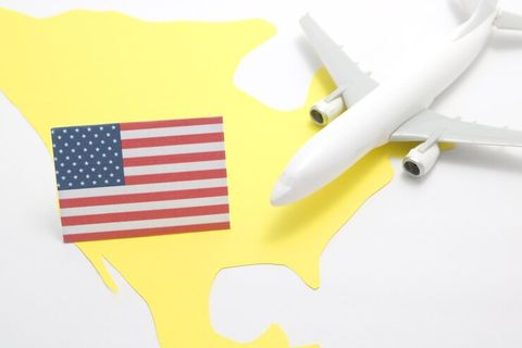 Navigating the Skies Within: Your Guide to Domestic Flights in the USA